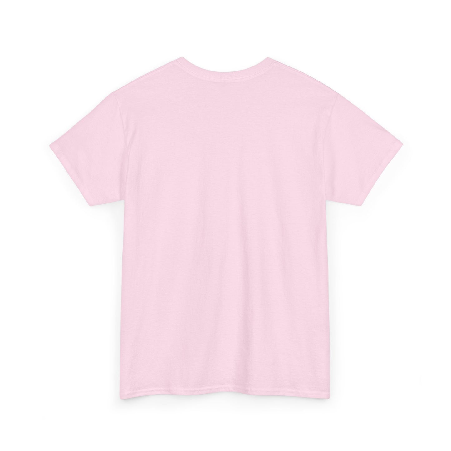 Baghdad Dreamscape T-Shirt — "Where Dreams Come to... Baghdad" Pink Graphic Tee
